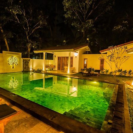 Tree Of Life Resort بينتوتا المظهر الخارجي الصورة