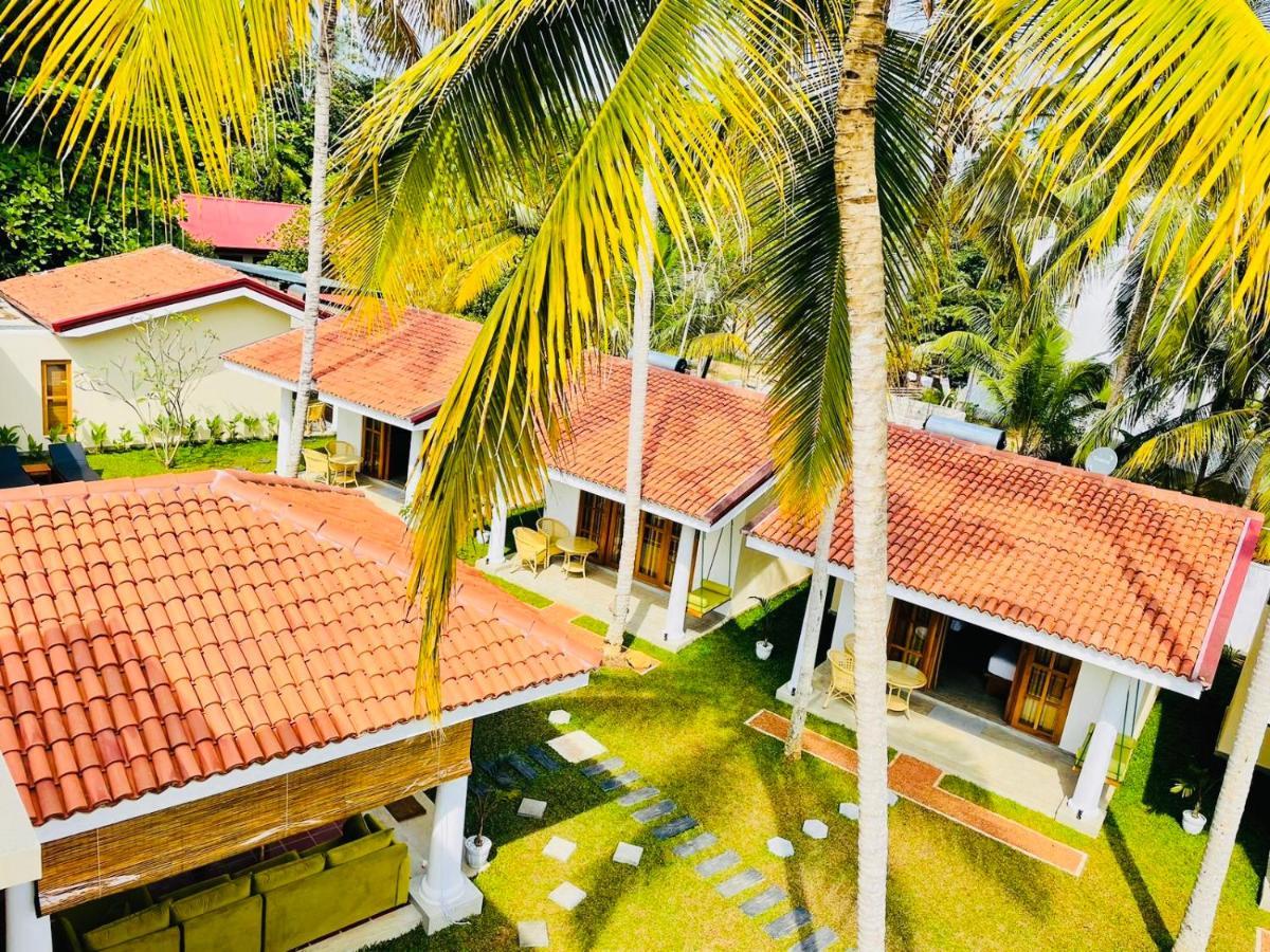 Tree Of Life Resort بينتوتا المظهر الخارجي الصورة