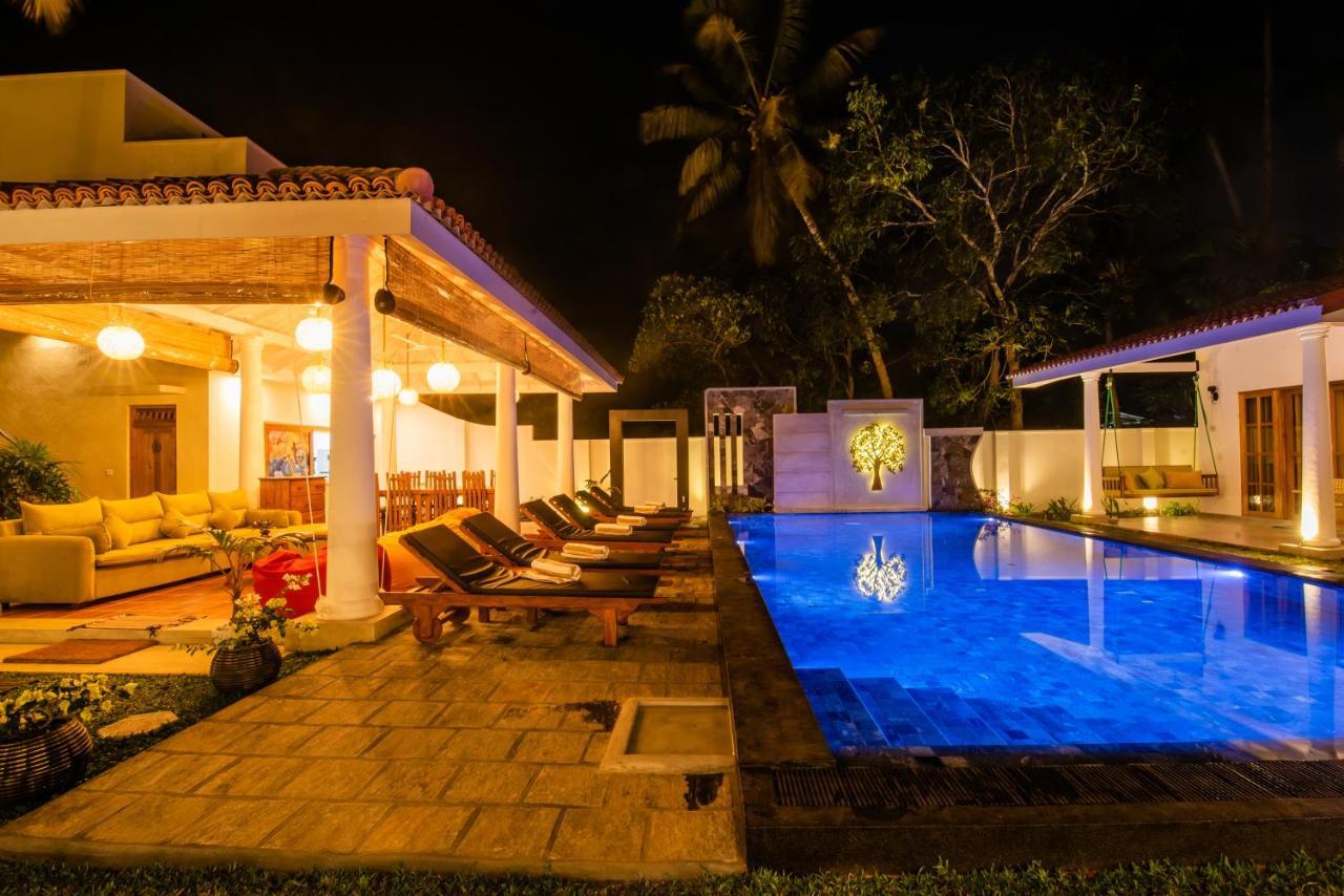 Tree Of Life Resort بينتوتا المظهر الخارجي الصورة