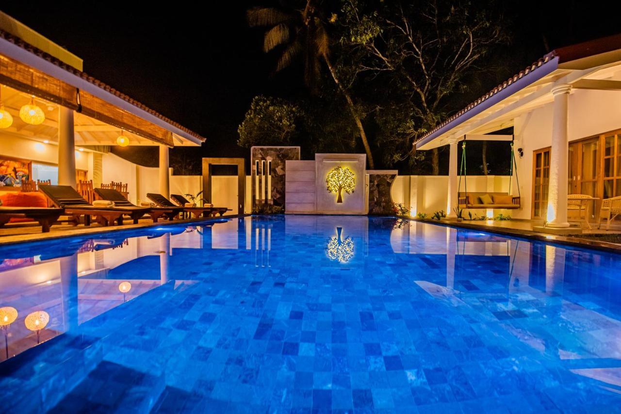 Tree Of Life Resort بينتوتا المظهر الخارجي الصورة